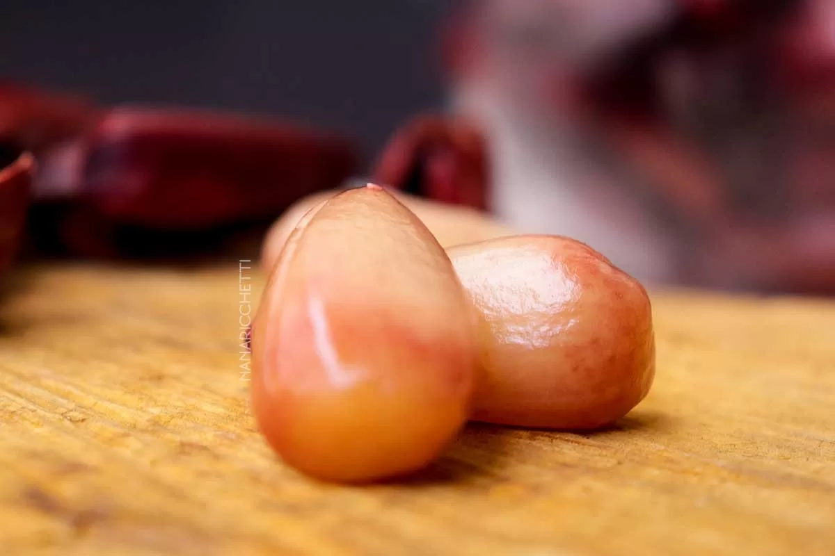 Aprenda a como cozinhar pinhão na panela normal!