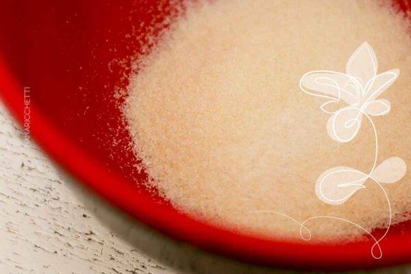 Receita de Pudim de Leite com Gelatina Incolor - faça uma sobremesa simples para os dias especiais.